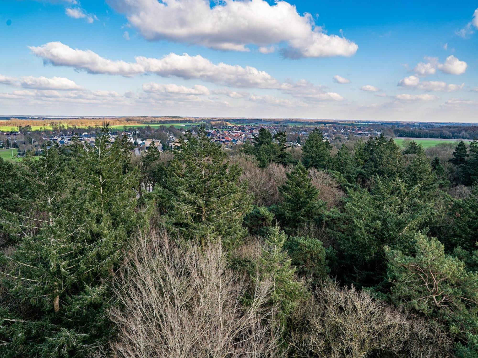 Cosy Holiday Home In Appelscha With Garden エクステリア 写真