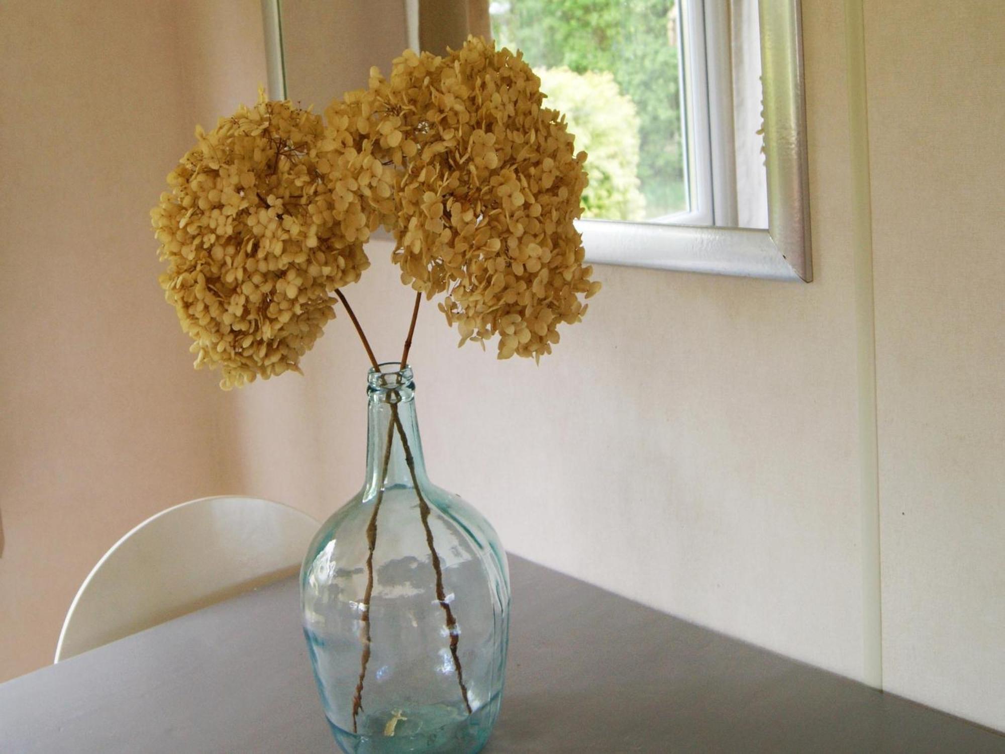 Cosy Holiday Home In Appelscha With Garden エクステリア 写真
