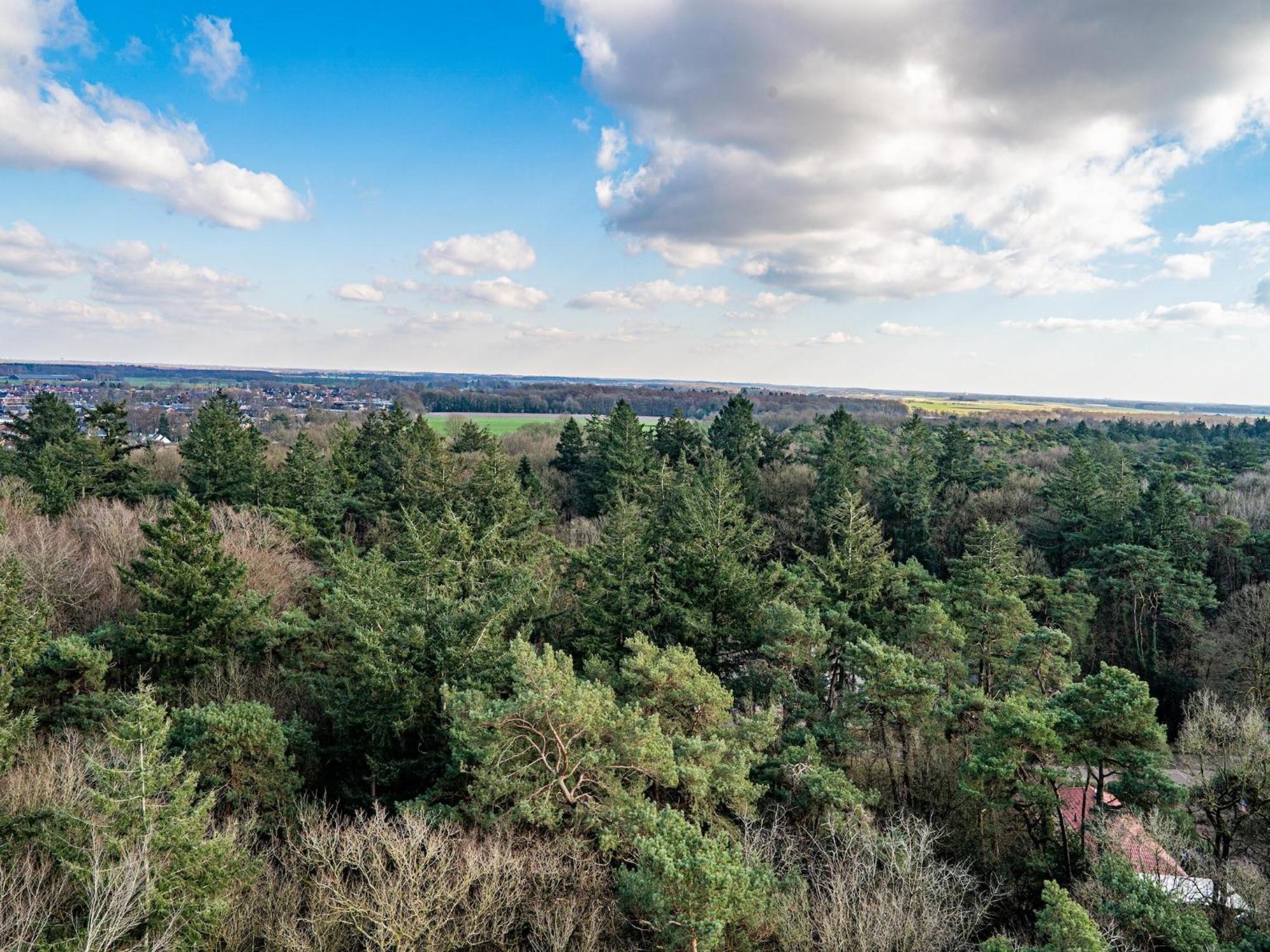 Cosy Holiday Home In Appelscha With Garden エクステリア 写真